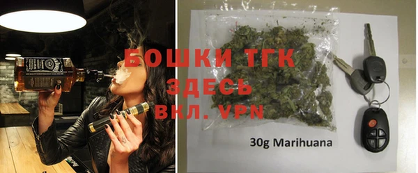 индика Протвино
