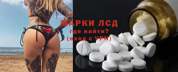 индика Протвино