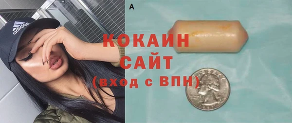 индика Протвино