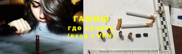 индика Протвино