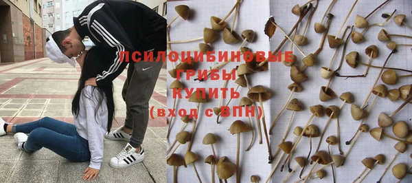 индика Протвино