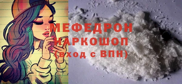 индика Протвино