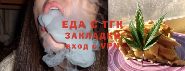 индика Протвино