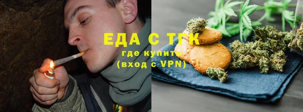 индика Протвино