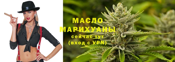 индика Протвино