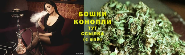 индика Протвино